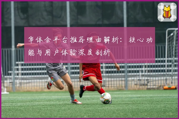 华体会平台推荐理由解析：核心功能与用户体验深度剖析